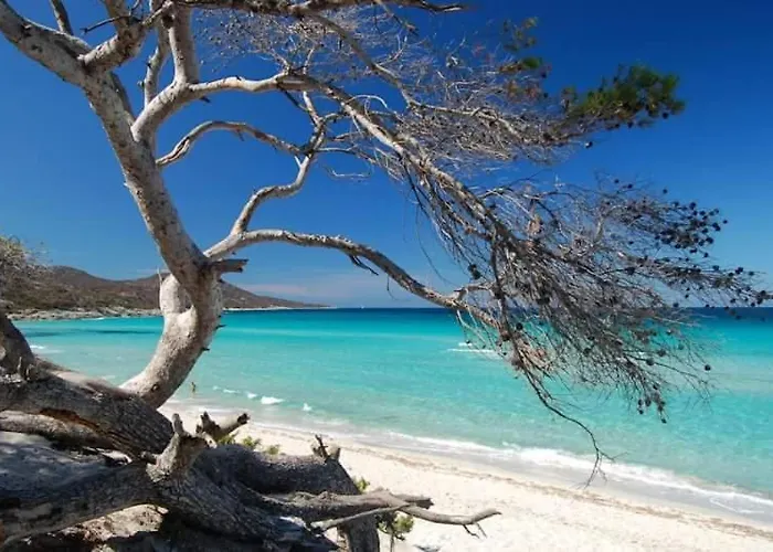 アパートホテル Flor 4*