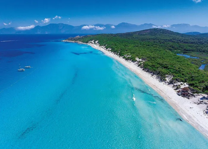 アパートホテル Flor